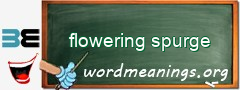 WordMeaning blackboard for flowering spurge